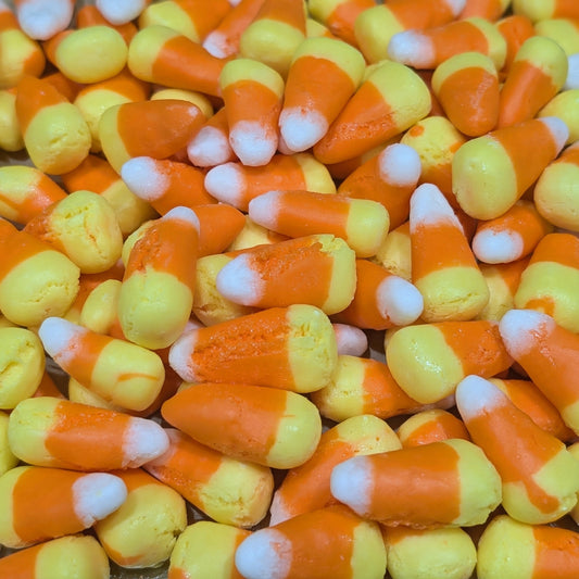 Freeze Dried Candy Corn