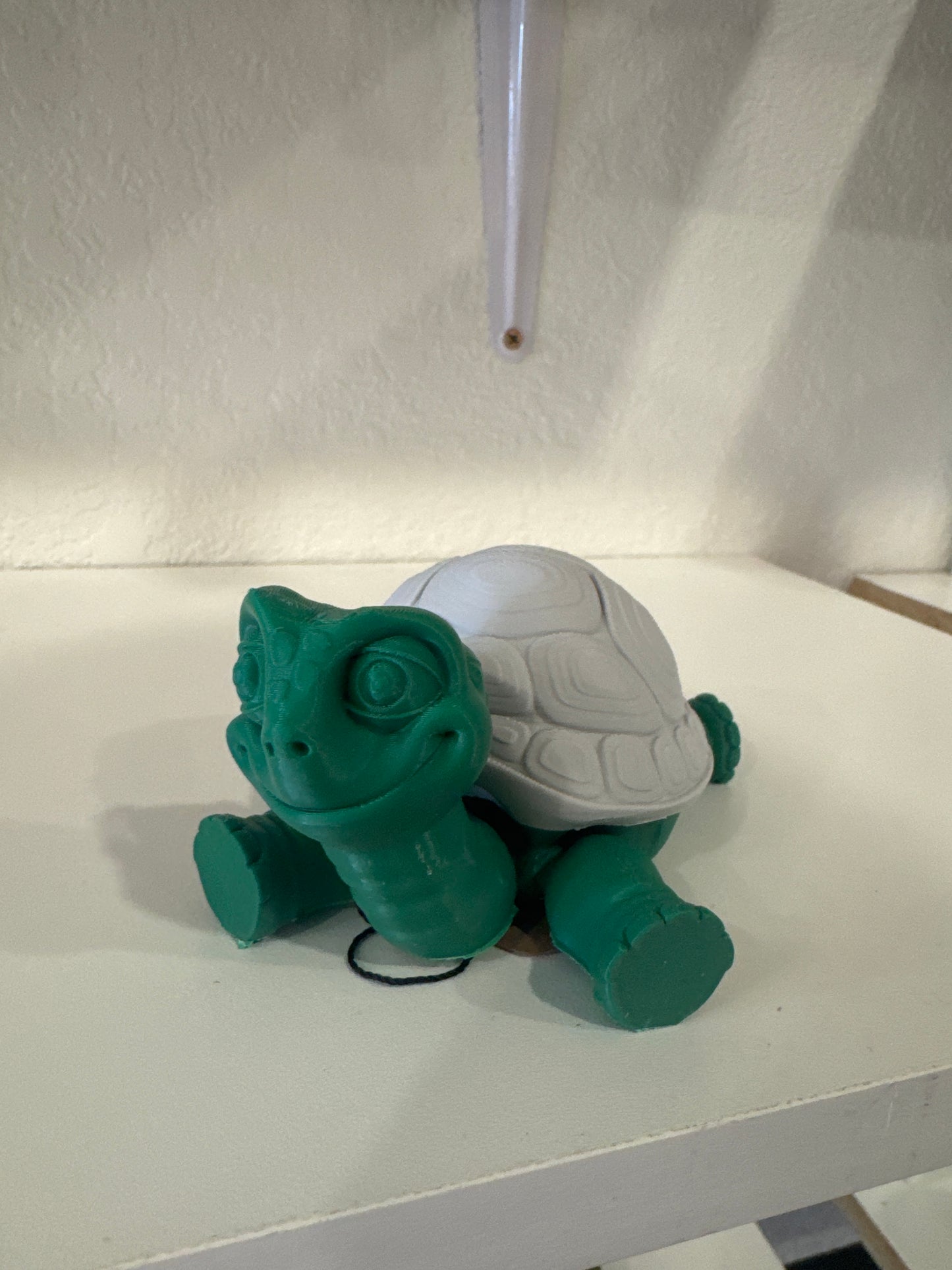 LG Turtle